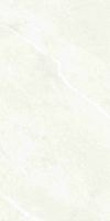 Dhara White Matte 24 x 48